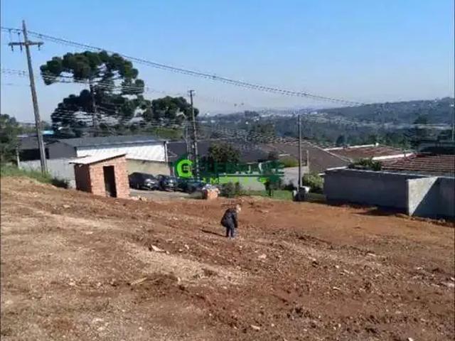 Terreno / Lote para Venda em Curitiba/PR Taboão