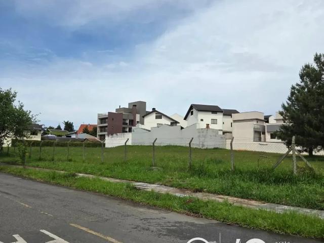 Terreno / Lote para Venda em Curitiba/PR Tarumã