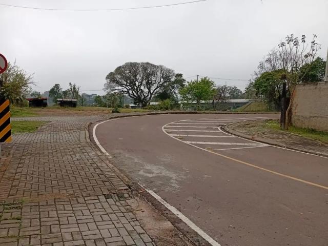Terreno / Lote para Venda em Curitiba/PR Tatuquara