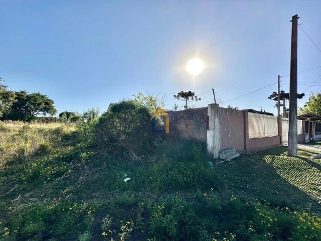 Terreno / Lote para Venda em Curitiba/PR Tingui