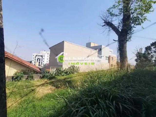 Terreno / Lote para Venda em Curitiba/PR Tingui