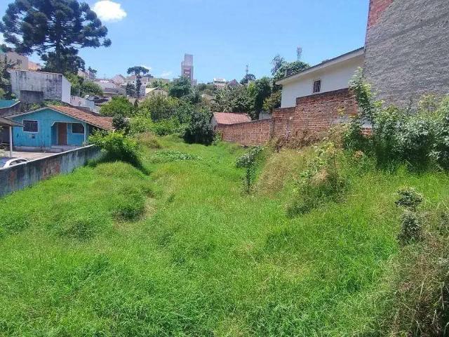 Terreno / Lote para Venda em Curitiba/PR Tingui