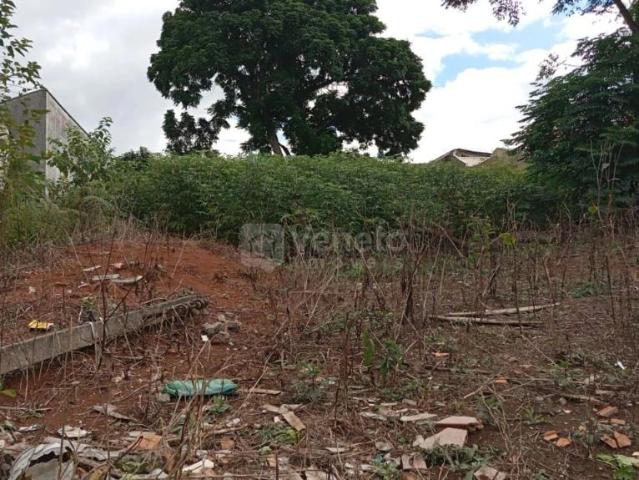 Terreno / Lote para Venda em Curitiba/PR Tingui