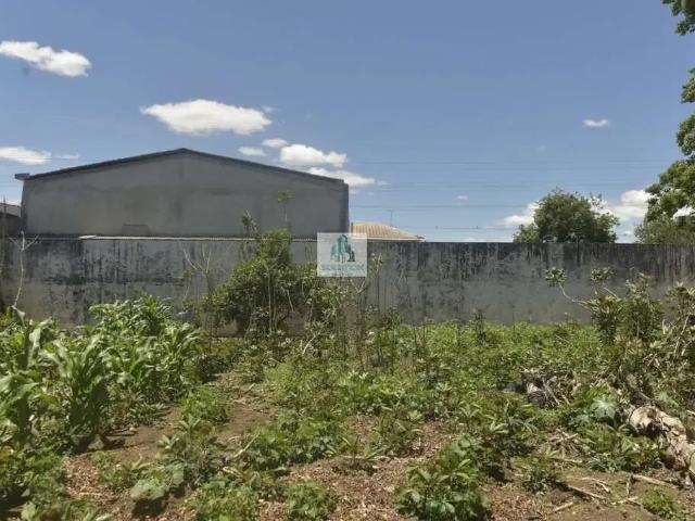 Terreno / Lote para Venda em Curitiba/PR Uberaba