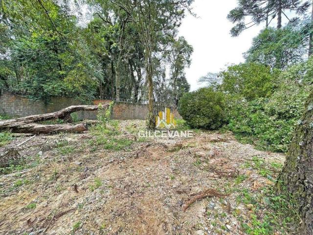 Terreno / Lote para Venda em Curitiba/PR Uberaba