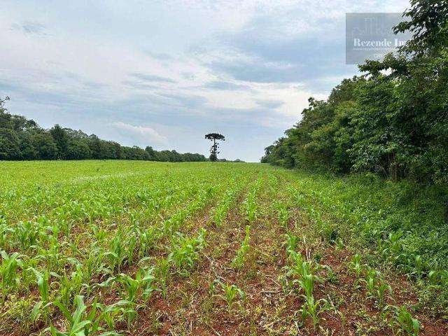 Terreno / Lote para Venda em Curitiba/PR Umbará