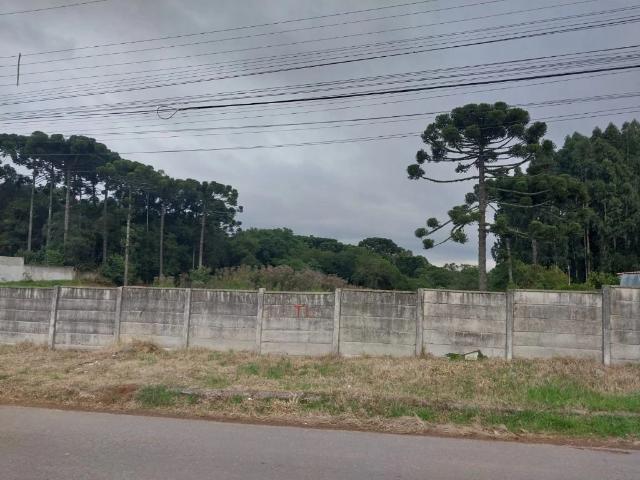 Terreno / Lote para Venda em Curitiba/PR Umbará
