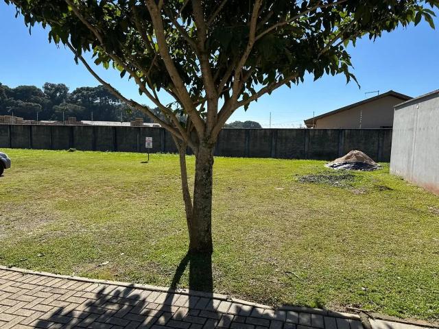 Terreno / Lote para Venda em Curitiba/PR Umbará
