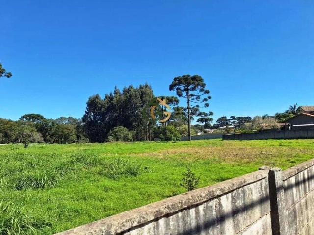 Terreno / Lote para Venda em Curitiba/PR Umbará