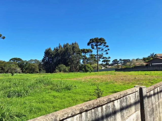 Terreno / Lote para Venda em Curitiba/PR Umbará