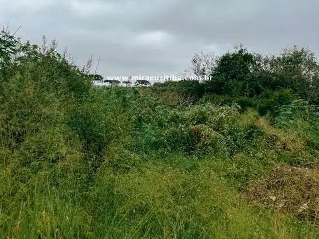 Terreno / Lote para Venda em Curitiba/PR Umbará