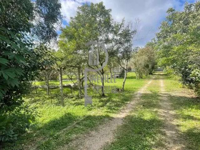Terreno / Lote para Venda em Curitiba/PR Umbará