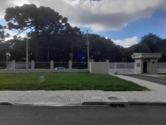 Terreno / Lote para Venda em Curitiba/PR Umbará