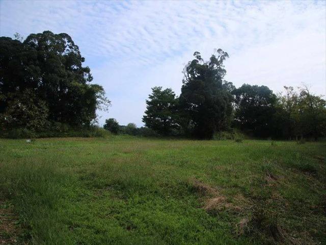 Terreno / Lote para Venda em Curitiba/PR Umbará