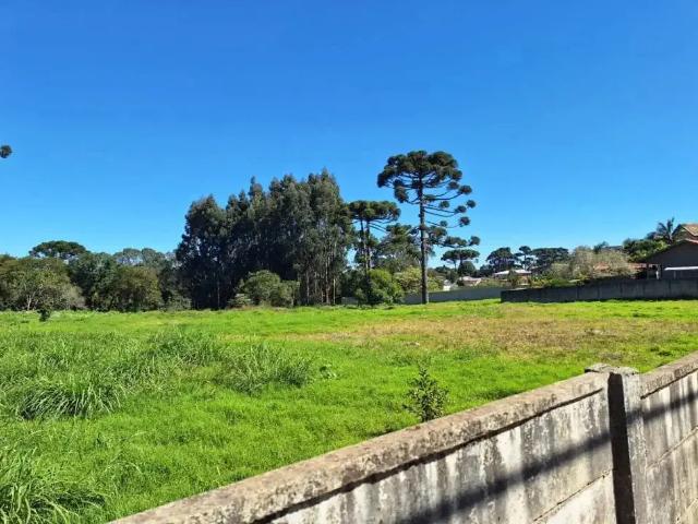 Terreno / Lote para Venda em Curitiba/PR Umbará