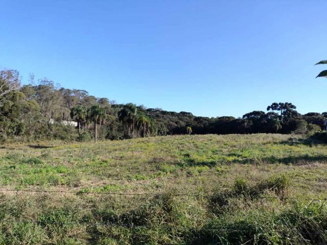 Terreno / Lote para Venda em Curitiba/PR Umbará