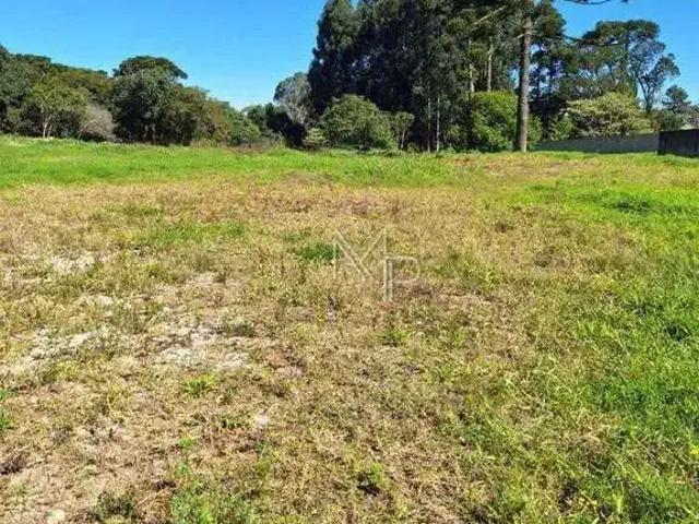 Terreno / Lote para Venda em Curitiba/PR Umbará