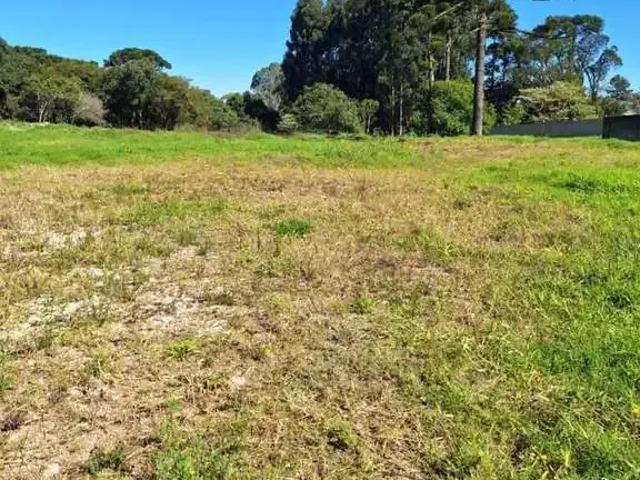 Terreno / Lote para Venda em Curitiba/PR Umbará