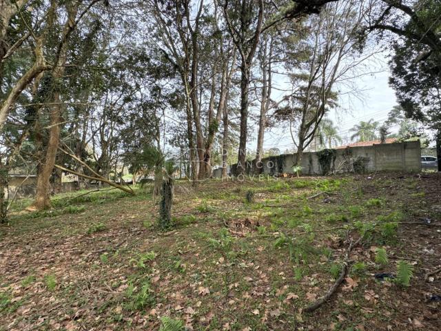 Terreno / Lote para Venda em Curitiba/PR Vista Alegre