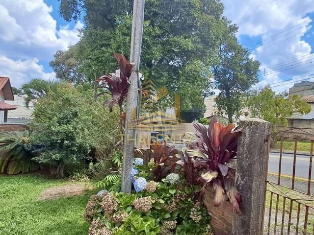 Terreno / Lote para Venda em Curitiba/PR Vista Alegre