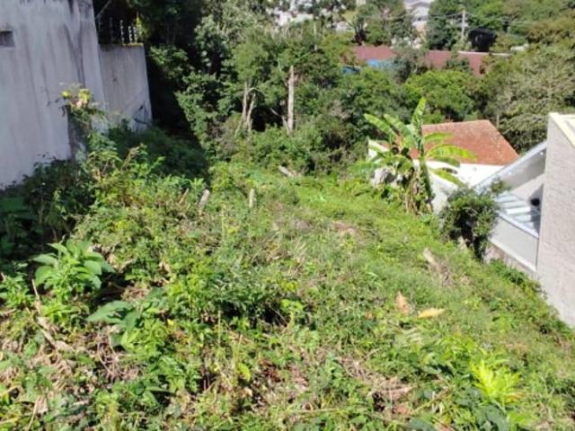 Terreno / Lote para Venda em Curitiba/PR Vista Alegre