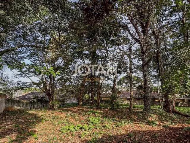 Terreno / Lote para Venda em Curitiba/PR Vista Alegre