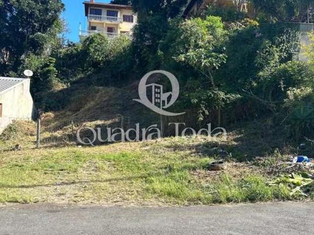Terreno / Lote para Venda em Curitiba/PR Vista Alegre