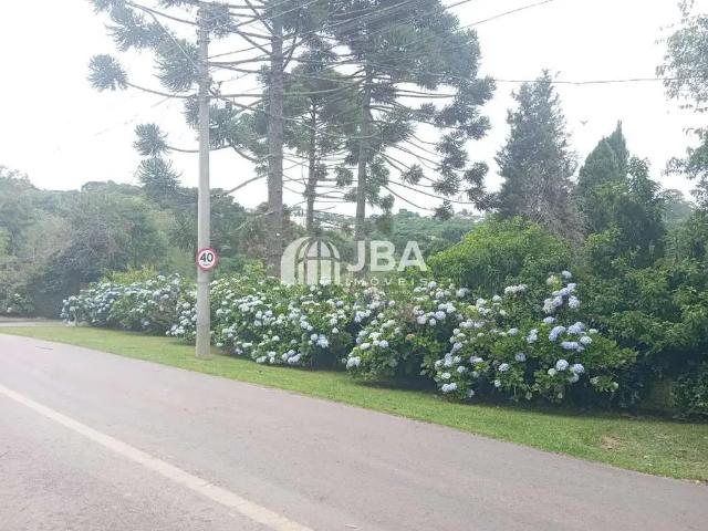 Terreno / Lote para Venda em Curitiba/PR Vista Alegre