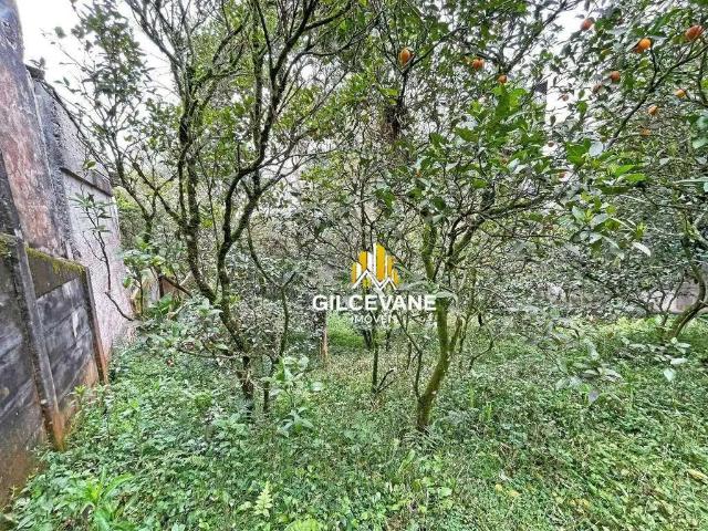 Terreno / Lote para Venda em Curitiba/PR Vista Alegre