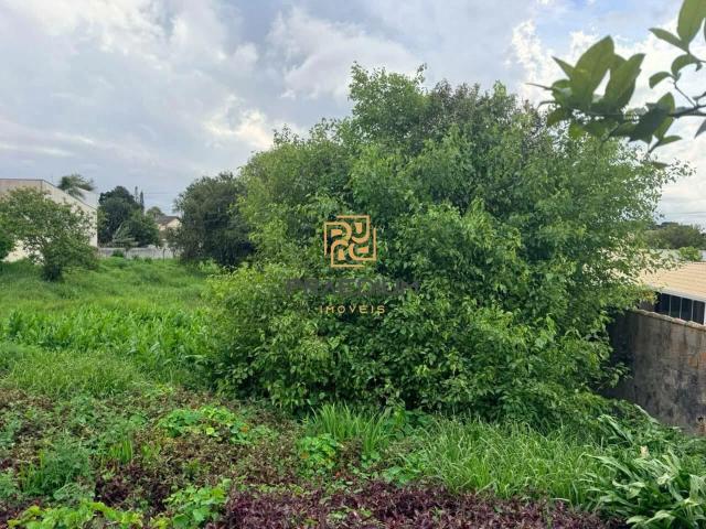 Terreno / Lote para Venda em Curitiba/PR Xaxim