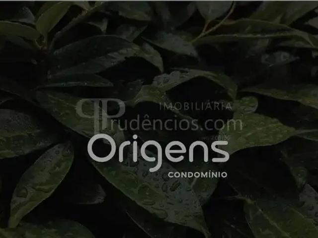 Terreno / Lote para Venda em Curitiba/PR Xaxim