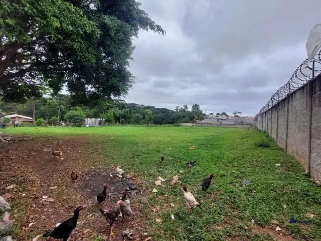 Terreno / Lote para Venda em Curitiba/PR Xaxim