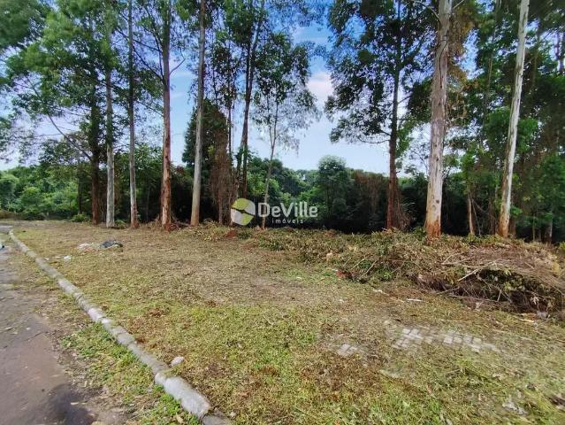 Terreno / Lote para Venda em Curitiba/PR Xaxim