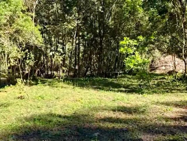 Terreno / Lote para Venda em Delfim Moreira/MG Centro