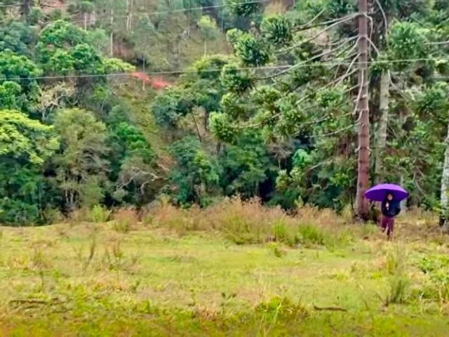 Terreno / Lote para Venda em Delfim Moreira/MG Centro