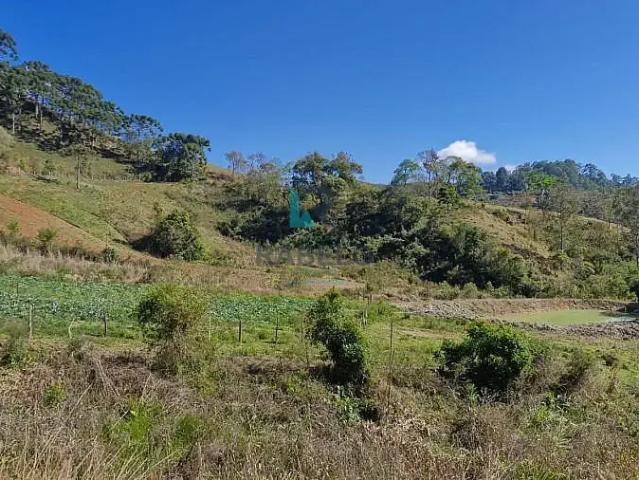 Terreno / Lote para Venda em Delfim Moreira/MG Centro