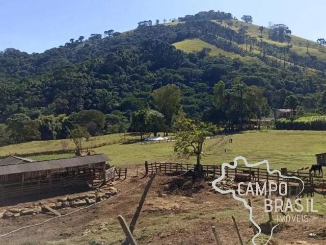Terreno / Lote para Venda em Delfim Moreira/MG Centro