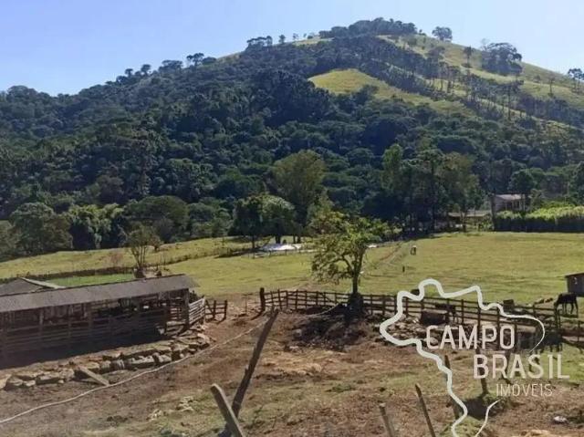 Terreno / Lote para Venda em Delfim Moreira/MG Zona Rural