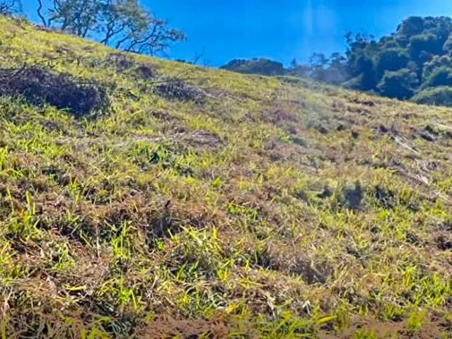 Terreno / Lote para Venda em Delfim Moreira/MG Zona Rural