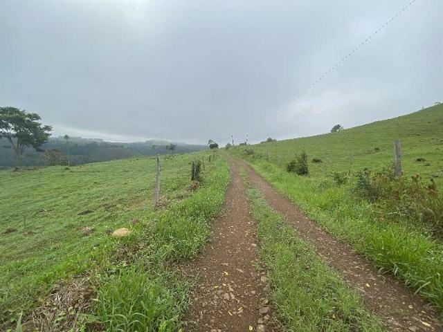 Terreno / Lote para Venda em Descanso/SC Centro