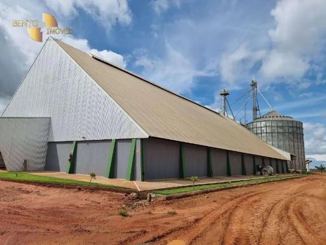 Terreno / Lote para Venda em Diamantino/MT Zona Rural