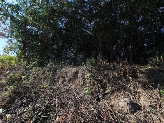 Terreno / Lote para Venda em Divinópolis/MG Nova Fortaleza