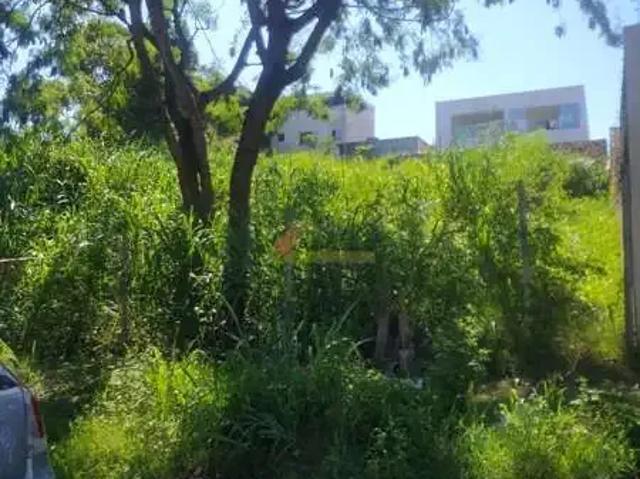 Terreno / Lote para Venda em Divinópolis/MG Orion