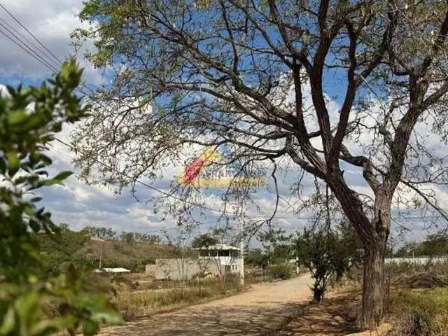 Terreno / Lote para Venda em Divinópolis/MG Área Rural de Divinópolis