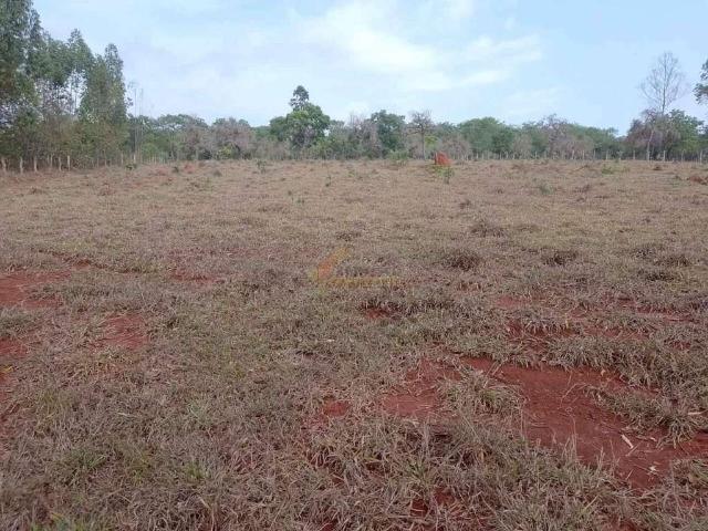 Terreno / Lote para Venda em Divinópolis/MG Área Rural de Divinópolis