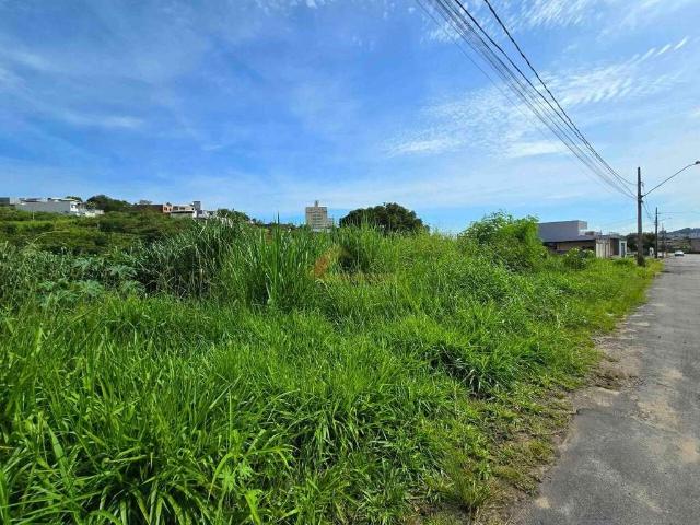 Terreno / Lote para Venda em Divinópolis/MG Belvedere