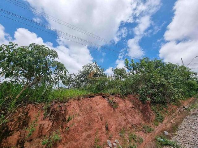 Terreno / Lote para Venda em Divinópolis/MG Belvedere