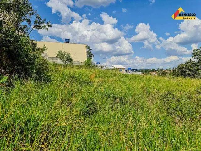 Terreno / Lote para Venda em Divinópolis/MG Belvedere