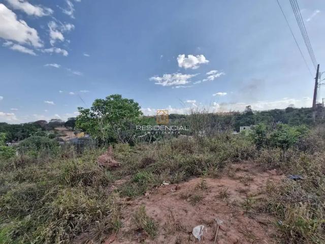 Terreno / Lote para Venda em Divinópolis/MG Belvedere