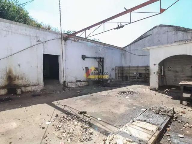 Terreno / Lote para Venda em Divinópolis/MG Centro